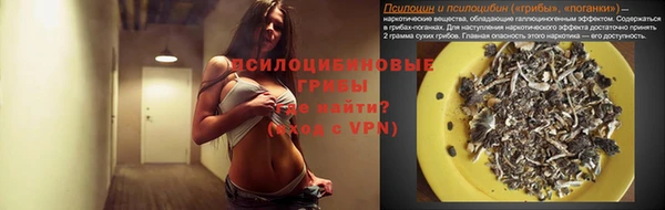 ешки Нея
