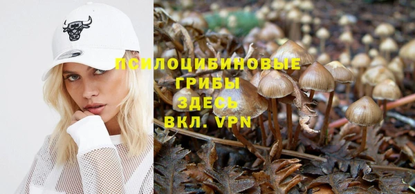 тгк Нефтекумск