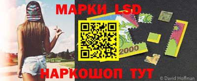 прущие грибы Будённовск