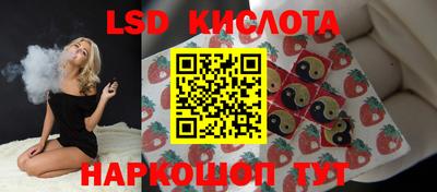 прущие грибы Будённовск