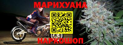 прущие грибы Будённовск