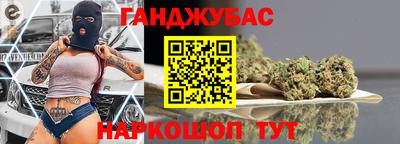 прущие грибы Будённовск