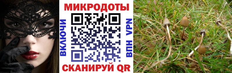 Псилоцибиновые грибы ЛСД  сколько стоит  Березники 