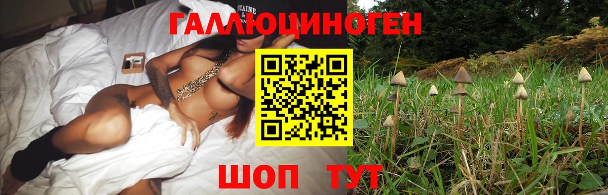 Псилоцибиновые грибы MAGIC MUSHROOMS Березники