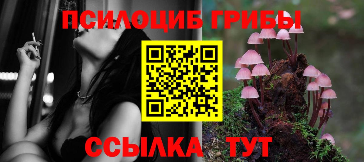 Псилоцибиновые грибы GOLDEN TEACHER  Вход с VPN  Березники  Галлюциногенные грибы Psilocybe 